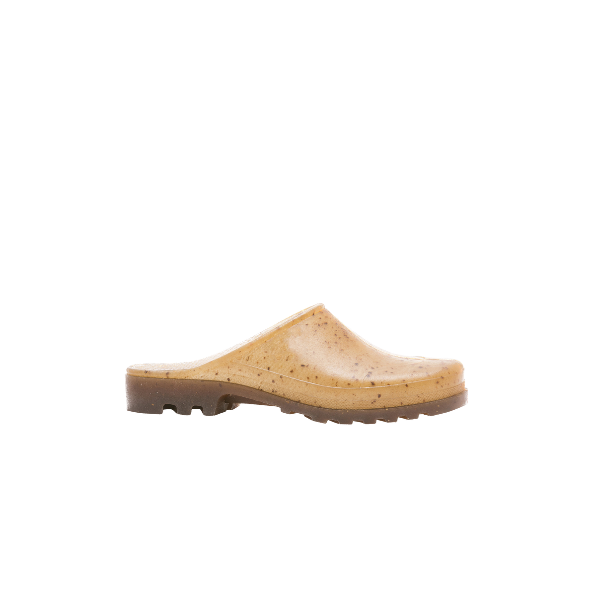 6-Background-Removed