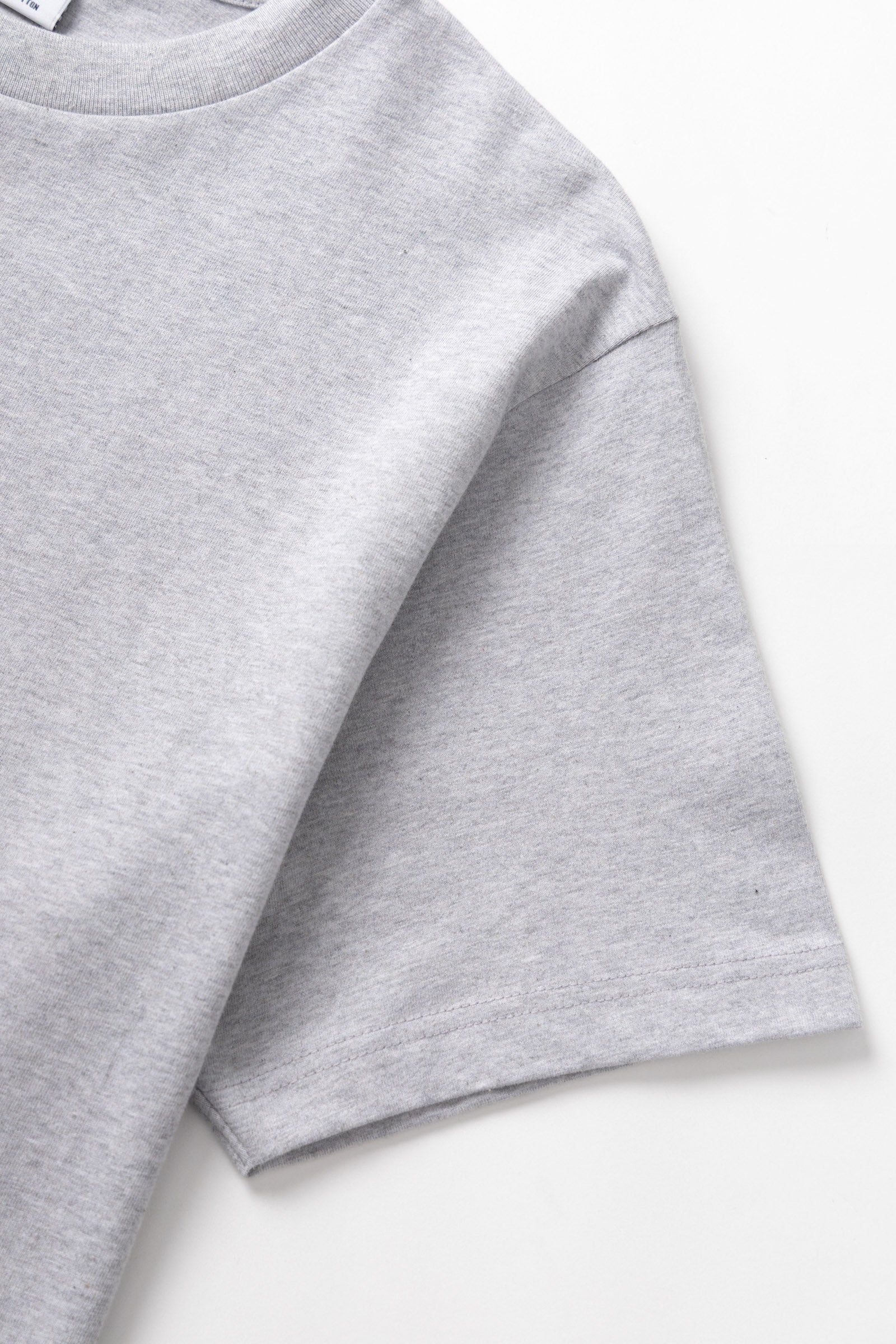 SW229-FamilyFruitTee-HeatherGrey-03