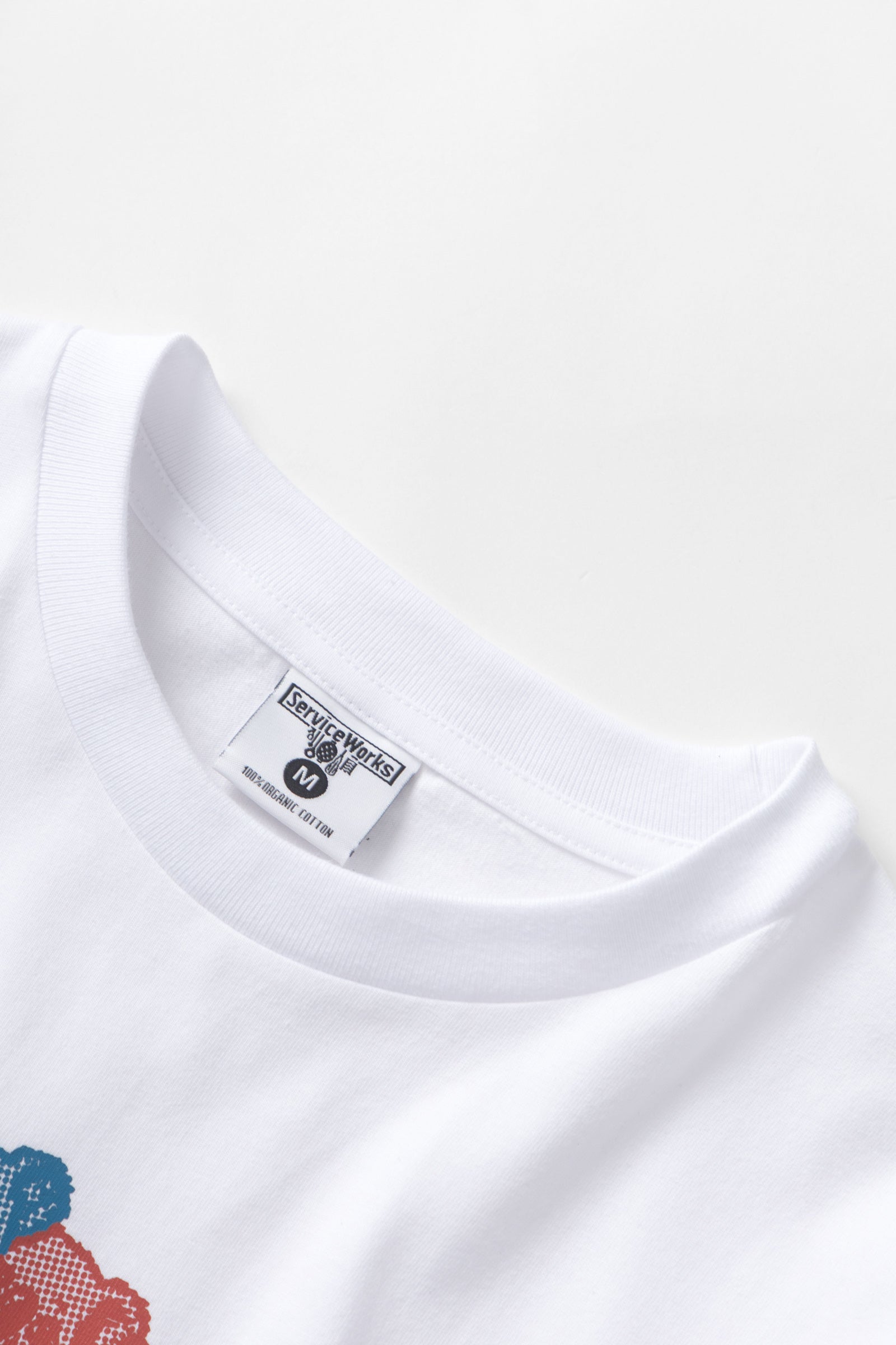 SW229-FamilyFruitTee-White-05