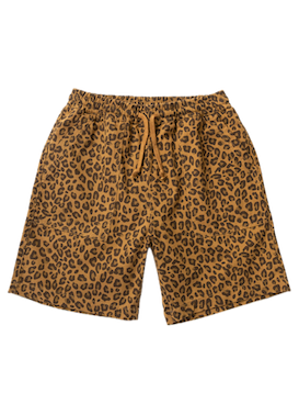 SW387-BROWN-LEOPARD-Background-Removed