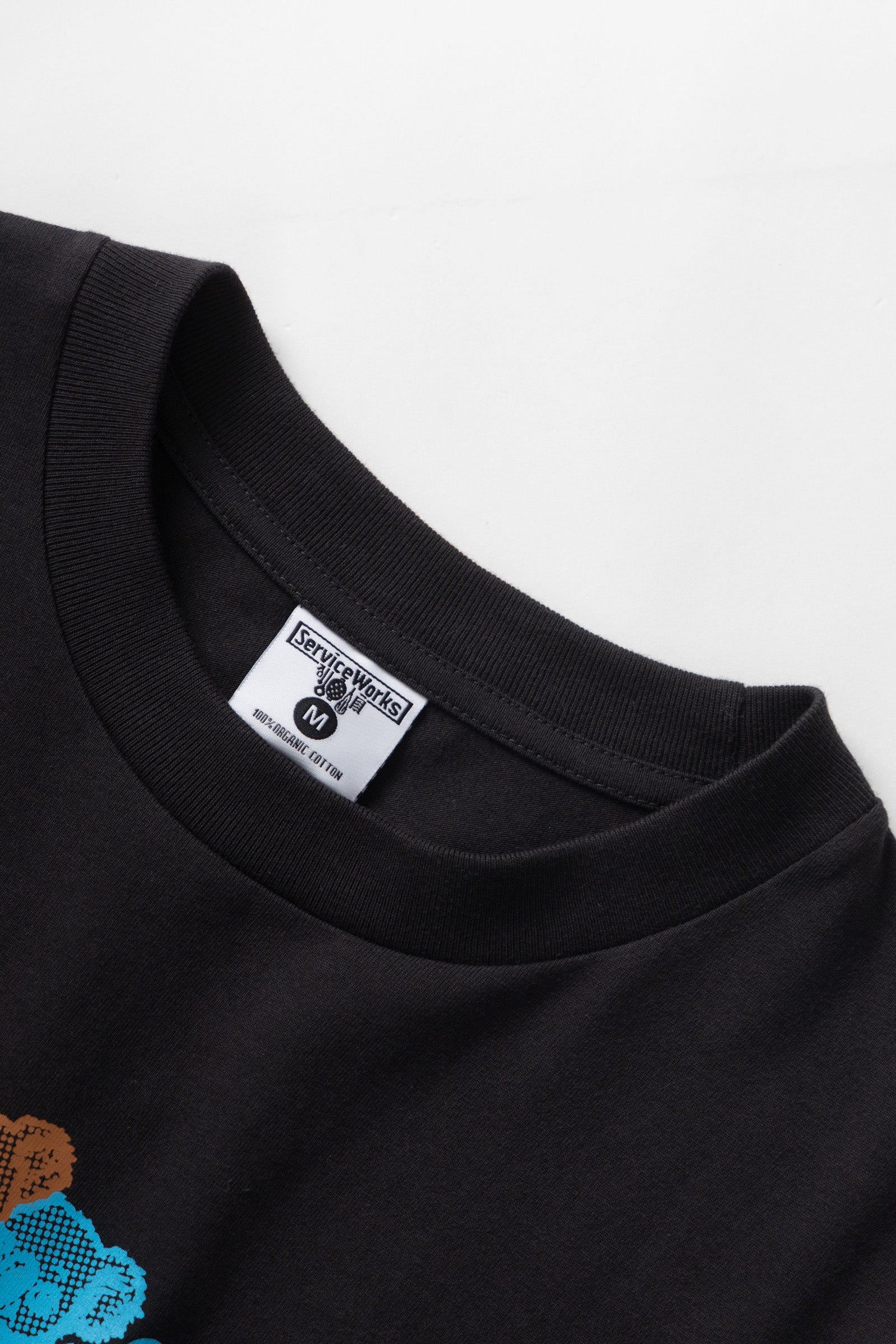 SW229-FamilyFruitTee-Black-05