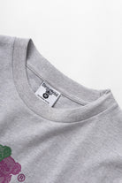 SW229-FamilyFruitTee-HeatherGrey-05