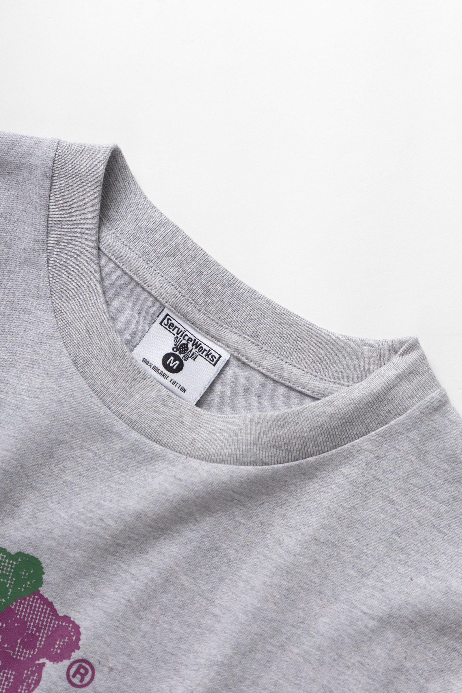 SW229-FamilyFruitTee-HeatherGrey-05