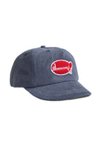 SW282-CarpPatchCap-Navy-01-Background-Removed